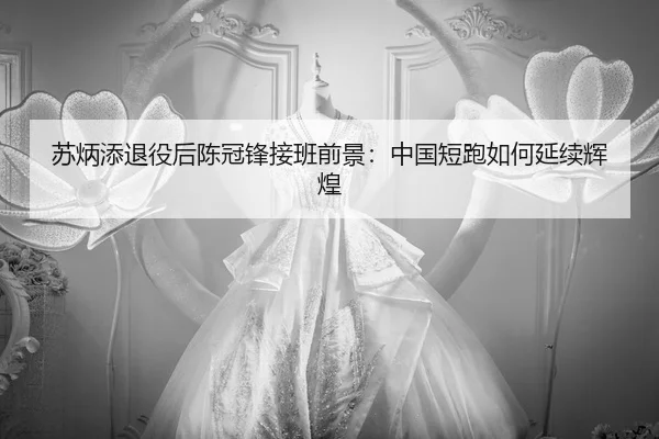 su-bing-tian-tui-yi-hou-chen-guan-feng-jie-ban-qian-jing-zhong-guo-duan-pao-ru-he-yan-xu-hui-huang-2-553.jpg
